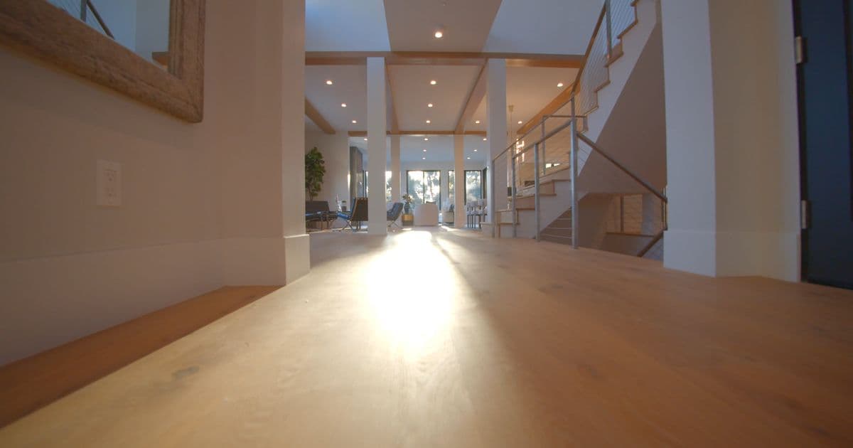 Light oak flooring stretching through an open-plan Sydney living space
